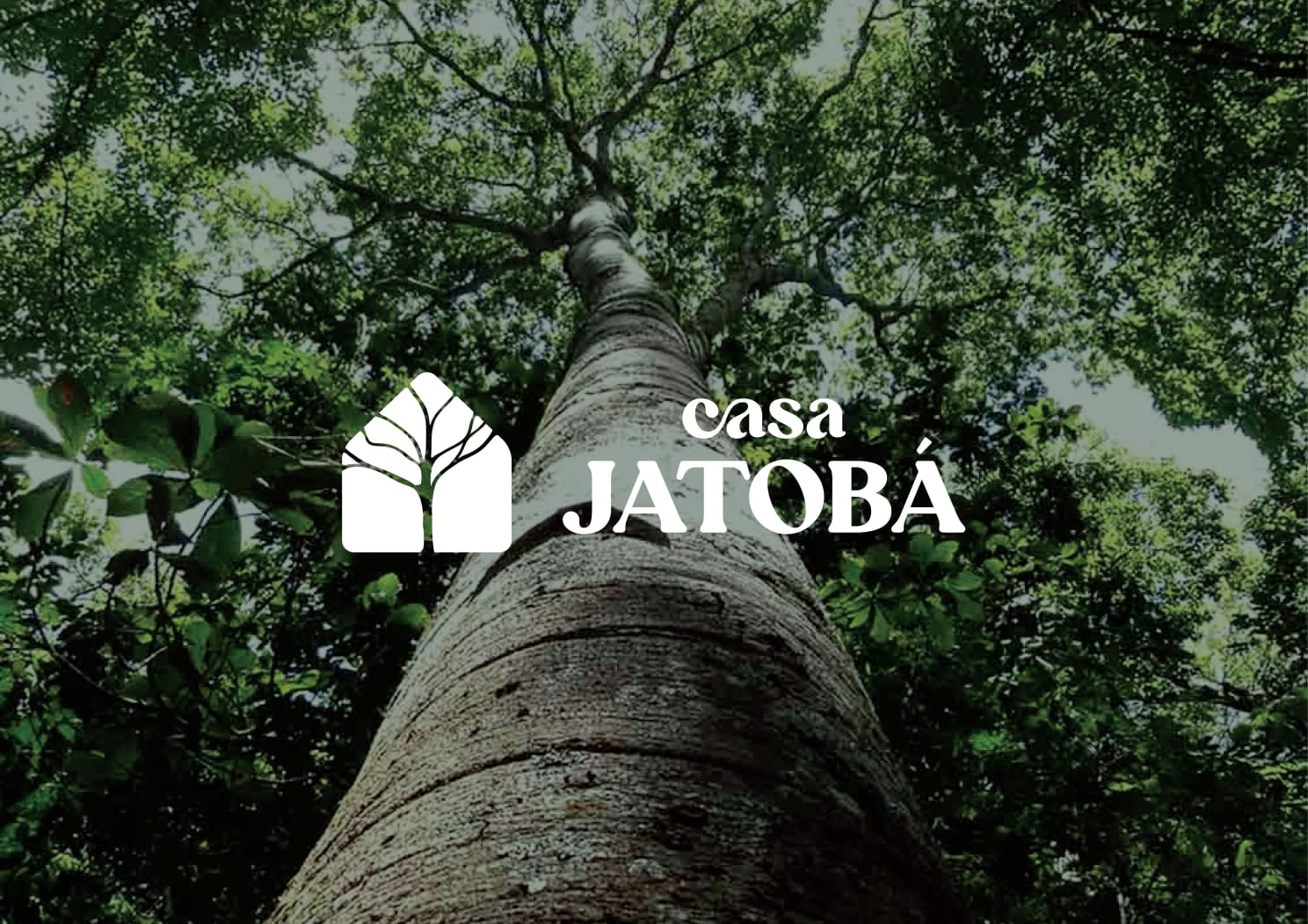 Casa Jatobá · Palmeiras